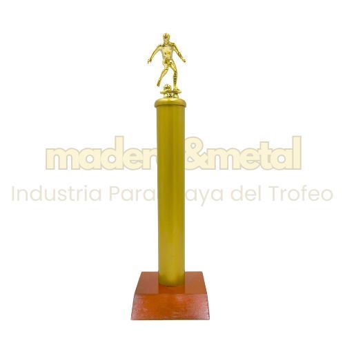 Imagen de Trofeo de metal con tapa - M1.380
